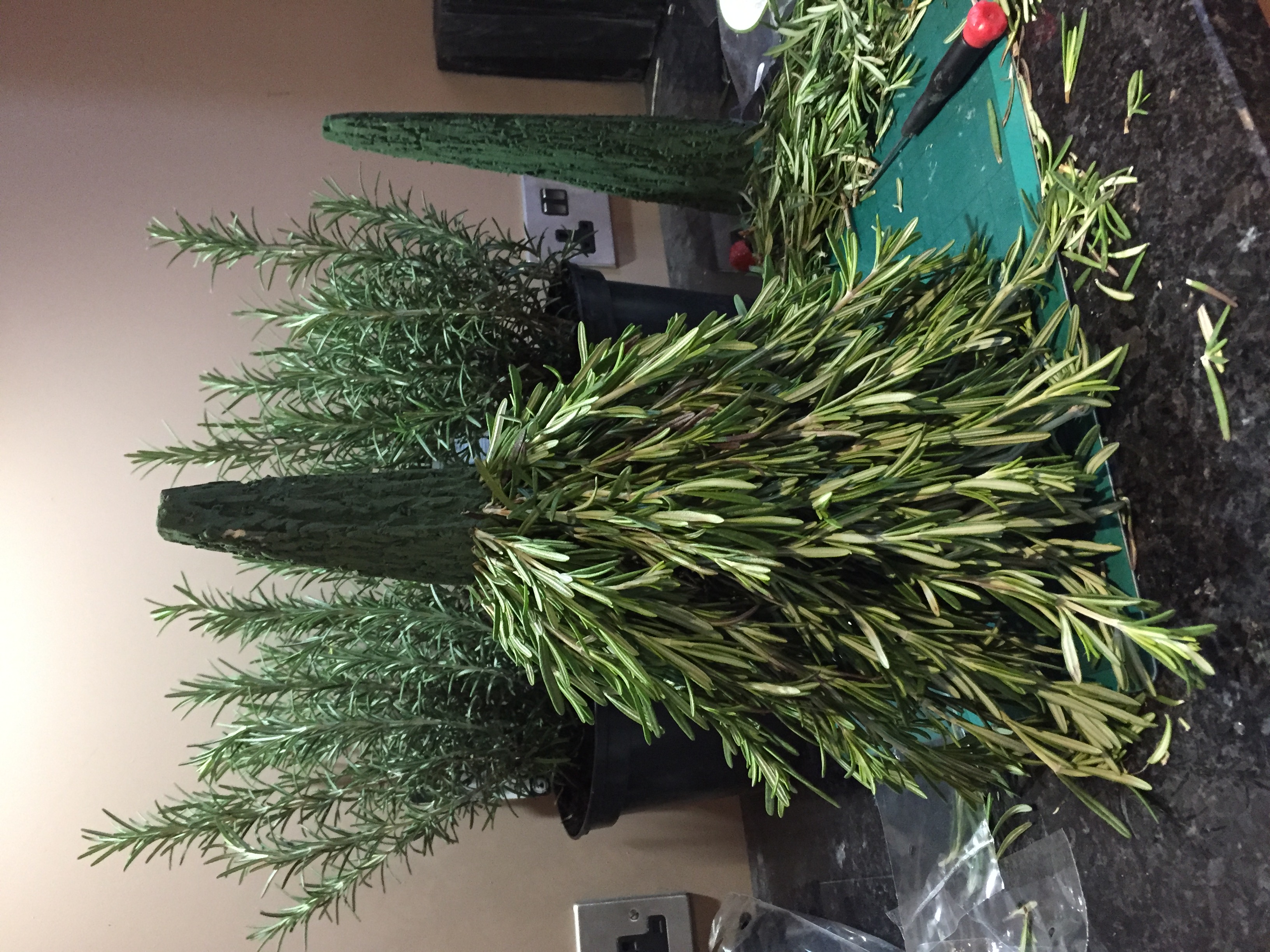 How To Build An Edible Christmas Tree